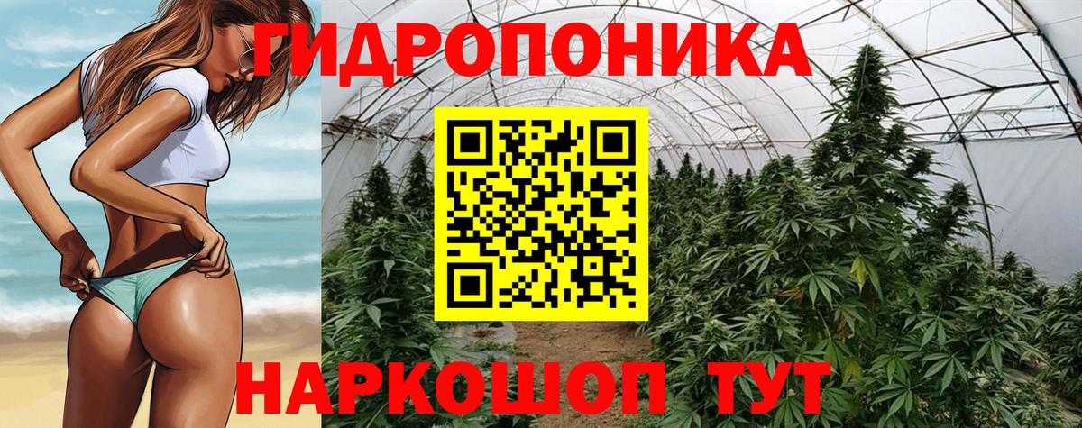 Каннабис семена Кулебаки